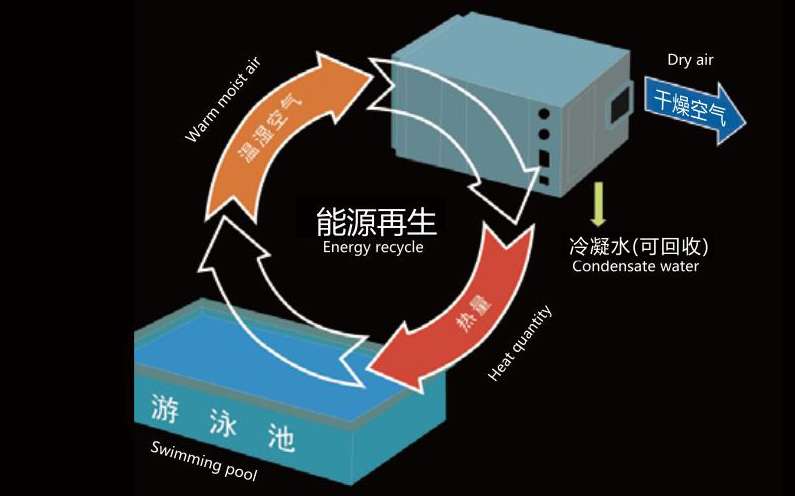 游泳池設(shè)計方案