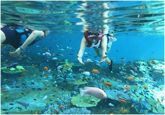 水族館,海洋館