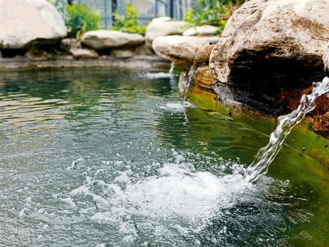 小區(qū)水景景觀的構成及水景設計的注意事項