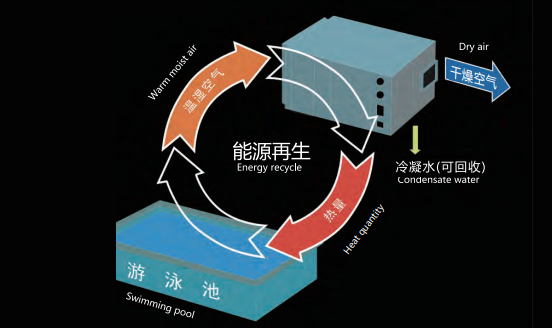 泳池專用除濕熱泵機組